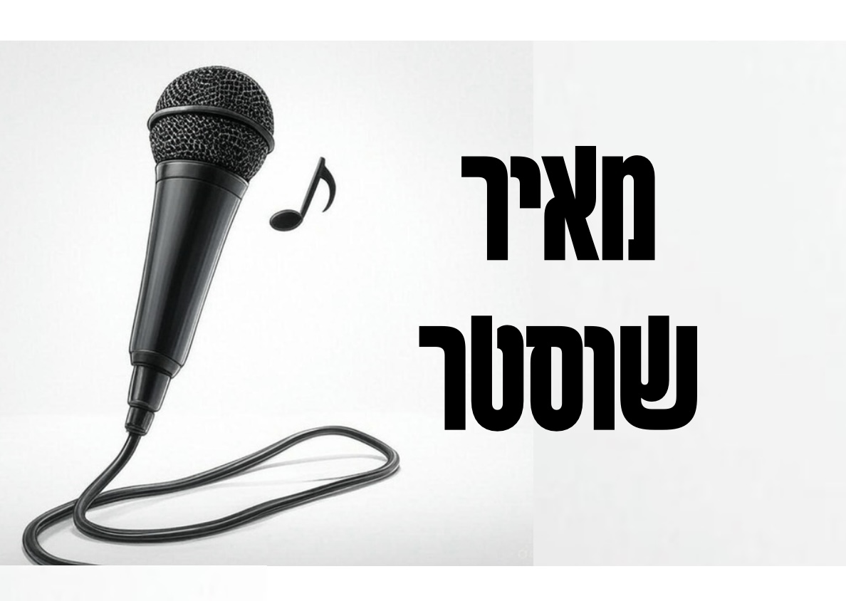 מאיר שוסטר - לוגו